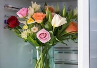 斐雪派克冰箱售后维修点电话号码交流あ鲜花放冰箱里最佳温度是多少？